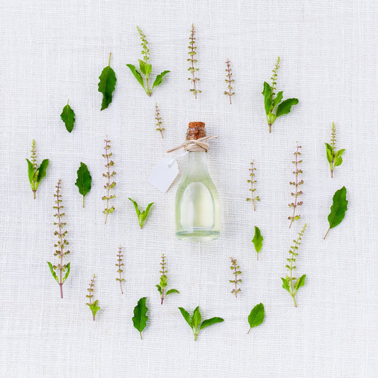 Rosemary Warm Oil Treatment for Dry Hair