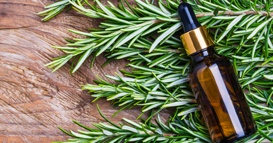 Why Rosemary is a Game-Changer for Black Hair Growth: The Science Explained