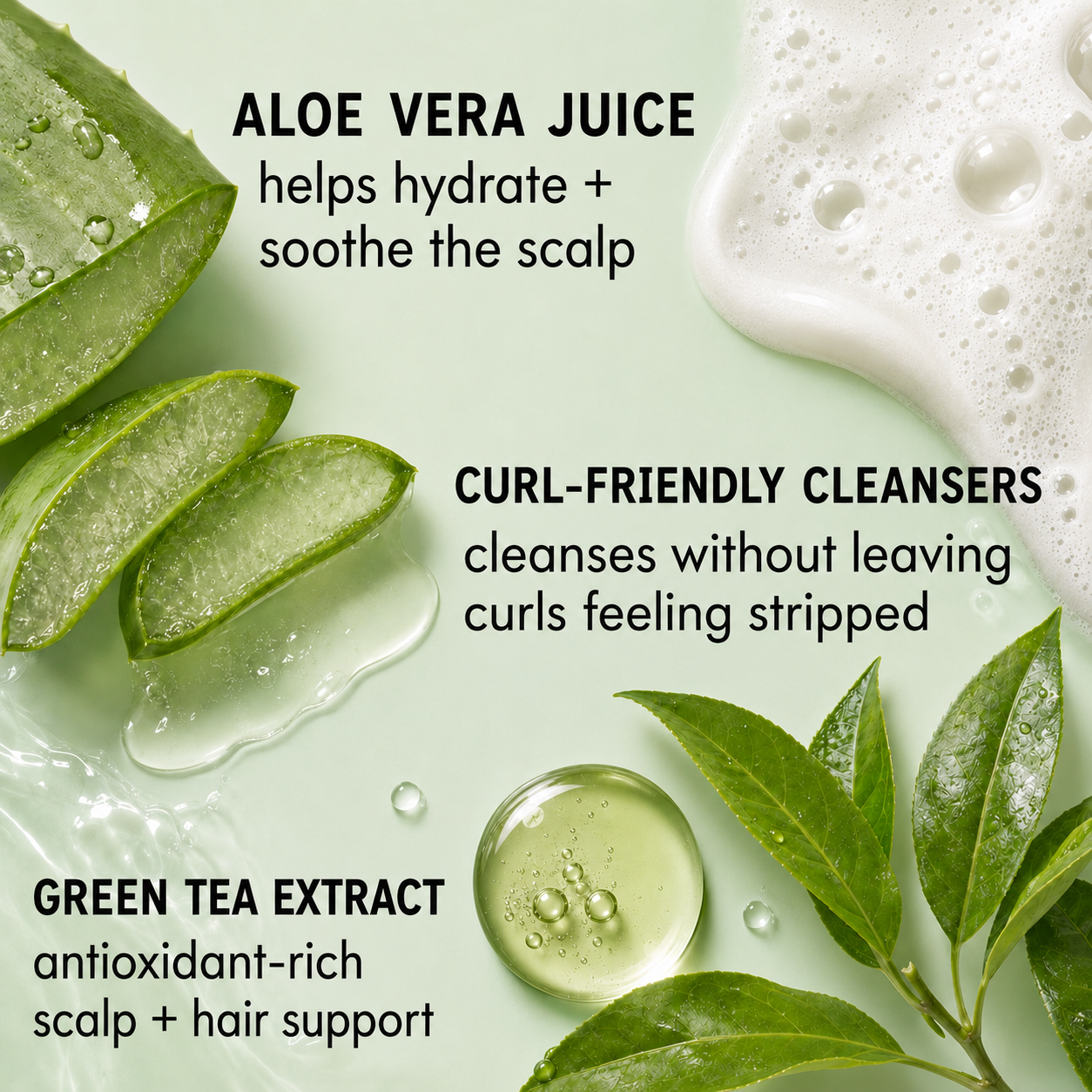 Curly Chemistry Aloe + Green Tea Hydrating Shampoo